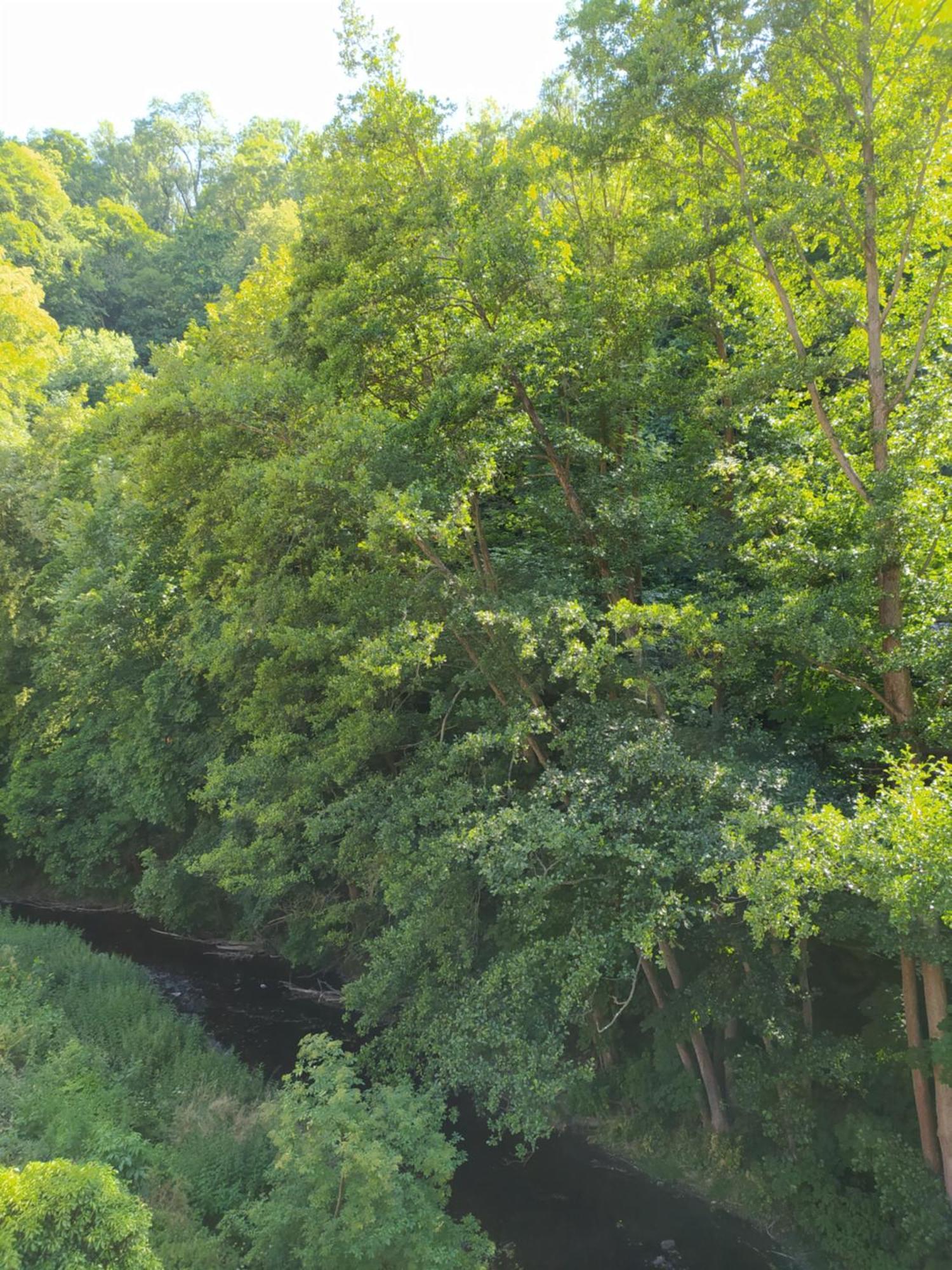 Appartamento Pod Hradbami Křivoklát Esterno foto